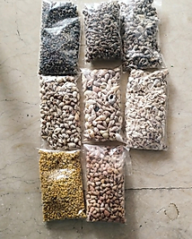 Doğal Deniz kabuğu 100 gr