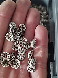 Tesbih ara kapama -kapson 100 gr